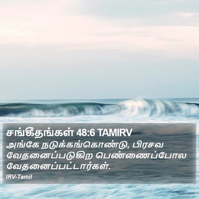 சங்கீதங்கள் 48:6 TAMIRV Bible Verse Image