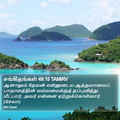 சங்கீதங்கள் 49:15 TAMIRV Bible Verse Image