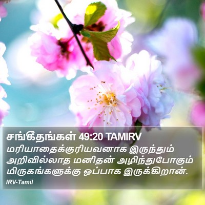 சங்கீதங்கள் 49:20 TAMIRV Bible Verse Image
