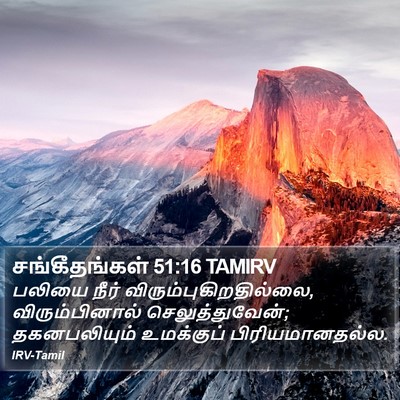 சங்கீதங்கள் 51:16 TAMIRV Bible Verse Image