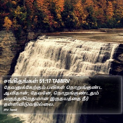 சங்கீதங்கள் 51:17 TAMIRV Bible Verse Image