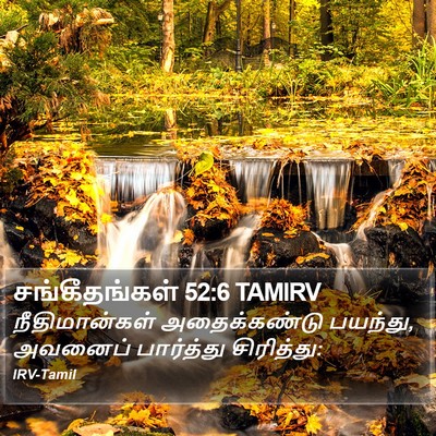 சங்கீதங்கள் 52:6 TAMIRV Bible Verse Image