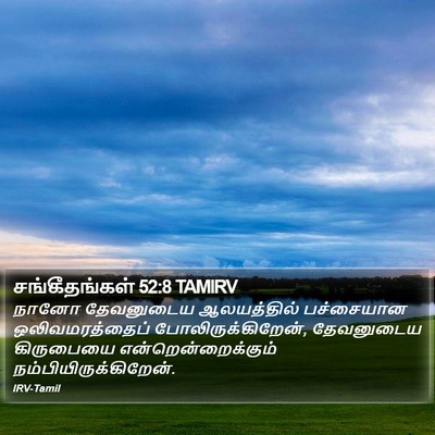 சங்கீதங்கள் 52:8 TAMIRV Bible Verse Image