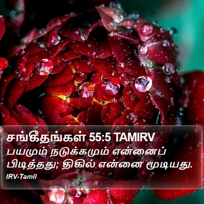 சங்கீதங்கள் 55:5 TAMIRV Bible Verse Image