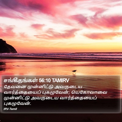 சங்கீதங்கள் 56:10 TAMIRV Bible Verse Image