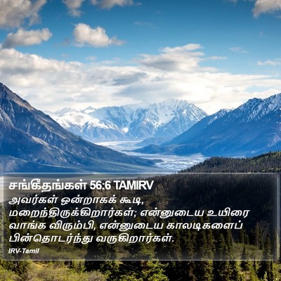 சங்கீதங்கள் 56:6 TAMIRV Bible Verse Image