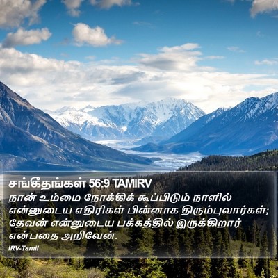 சங்கீதங்கள் 56:9 TAMIRV Bible Verse Image