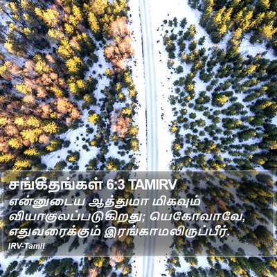 சங்கீதங்கள் 6:3 TAMIRV Bible Verse Image
