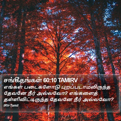 சங்கீதங்கள் 60:10 TAMIRV Bible Verse Image