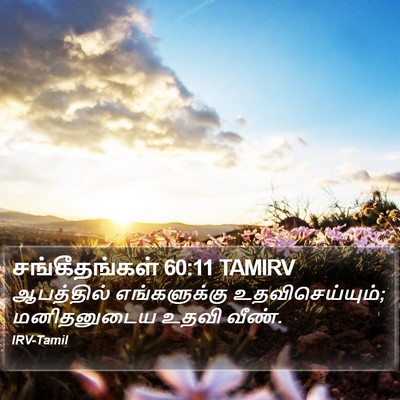 சங்கீதங்கள் 60:11 TAMIRV Bible Verse Image