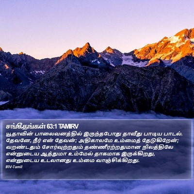 சங்கீதங்கள் 63:1 TAMIRV Bible Verse Image