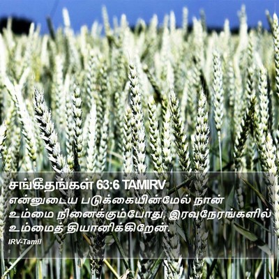 சங்கீதங்கள் 63:6 TAMIRV Bible Verse Image