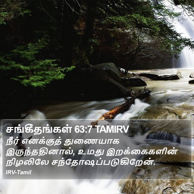 சங்கீதங்கள் 63:7 TAMIRV Bible Verse Image