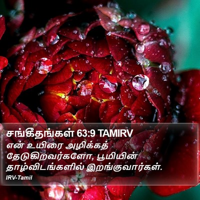 சங்கீதங்கள் 63:9 TAMIRV Bible Verse Image