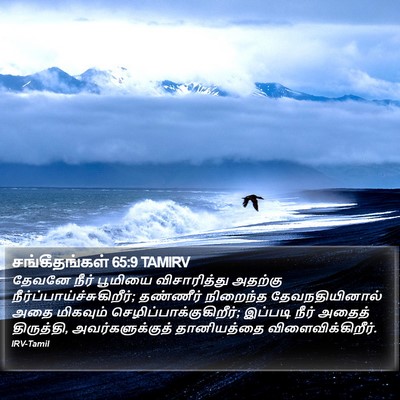 சங்கீதங்கள் 65:9 TAMIRV Bible Verse Image