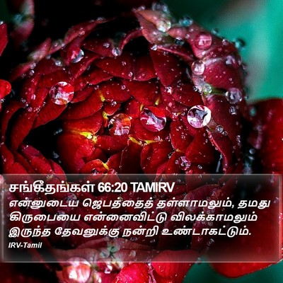 சங்கீதங்கள் 66:20 TAMIRV Bible Verse Image