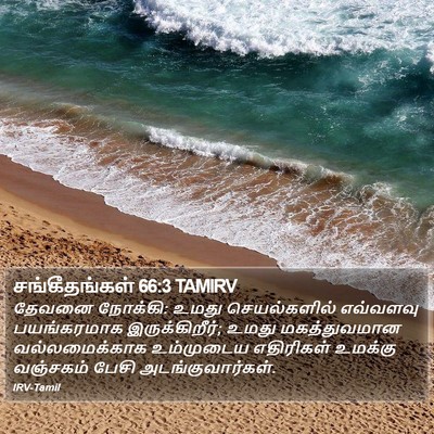 சங்கீதங்கள் 66:3 TAMIRV Bible Verse Image