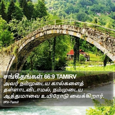 சங்கீதங்கள் 66:9 TAMIRV Bible Verse Image