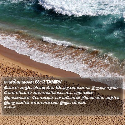 சங்கீதங்கள் 68:13 TAMIRV Bible Verse Image