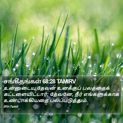 சங்கீதங்கள் 68:28 TAMIRV Bible Verse Image