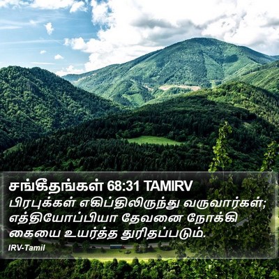சங்கீதங்கள் 68:31 TAMIRV Bible Verse Image