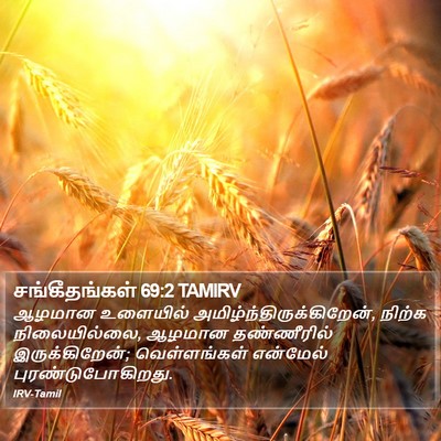 சங்கீதங்கள் 69:2 TAMIRV Bible Verse Image