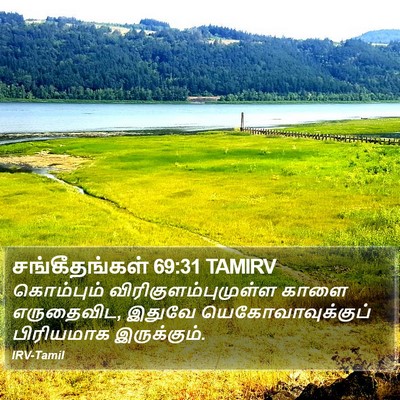 சங்கீதங்கள் 69:31 TAMIRV Bible Verse Image