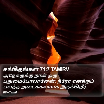 சங்கீதங்கள் 71:7 TAMIRV Bible Verse Image