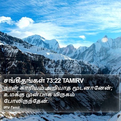 சங்கீதங்கள் 73:22 TAMIRV Bible Verse Image