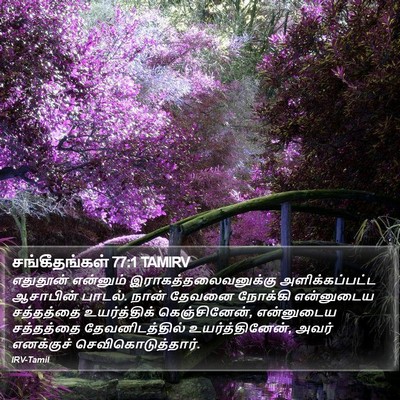 சங்கீதங்கள் 77:1 TAMIRV Bible Verse Image