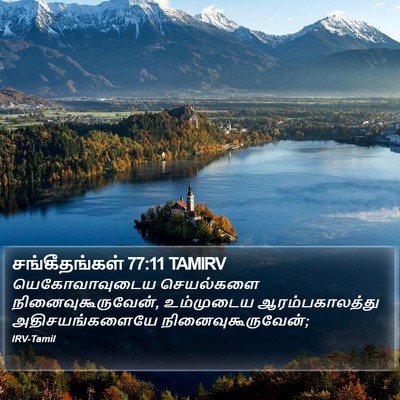 சங்கீதங்கள் 77:11 TAMIRV Bible Verse Image