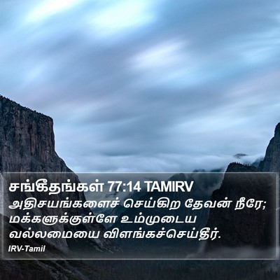 சங்கீதங்கள் 77:14 TAMIRV Bible Verse Image