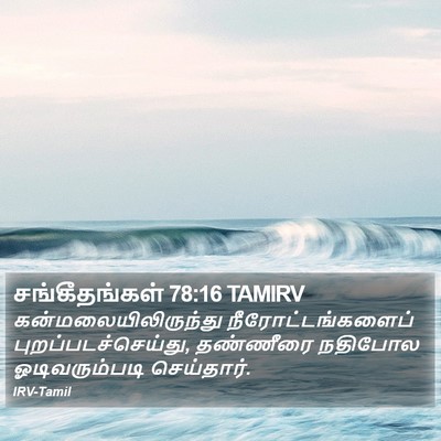 சங்கீதங்கள் 78:16 TAMIRV Bible Verse Image