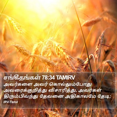 சங்கீதங்கள் 78:34 TAMIRV Bible Verse Image