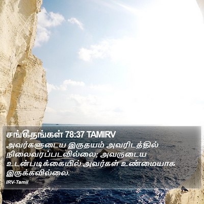 சங்கீதங்கள் 78:37 TAMIRV Bible Verse Image