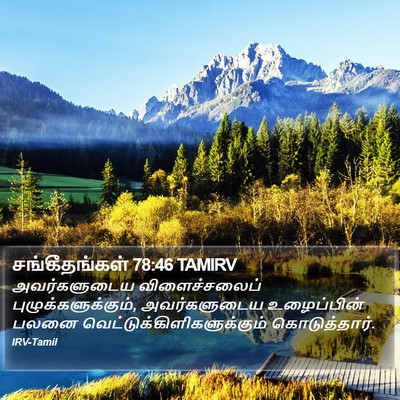 சங்கீதங்கள் 78:46 TAMIRV Bible Verse Image