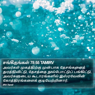 சங்கீதங்கள் 78:55 TAMIRV Bible Verse Image