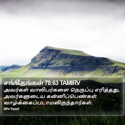 சங்கீதங்கள் 78:63 TAMIRV Bible Verse Image