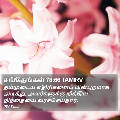 சங்கீதங்கள் 78:66 TAMIRV Bible Verse Image