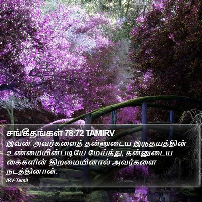 சங்கீதங்கள் 78:72 TAMIRV Bible Verse Image