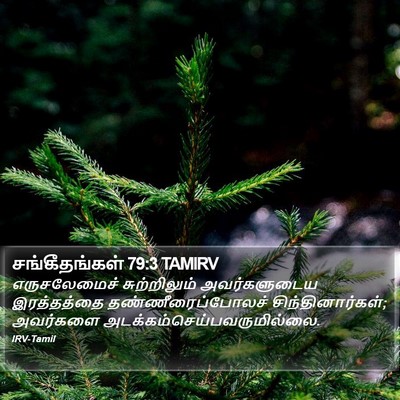 சங்கீதங்கள் 79:3 TAMIRV Bible Verse Image
