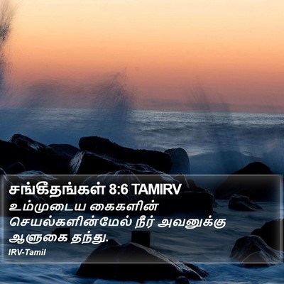 சங்கீதங்கள் 8:6 TAMIRV Bible Verse Image