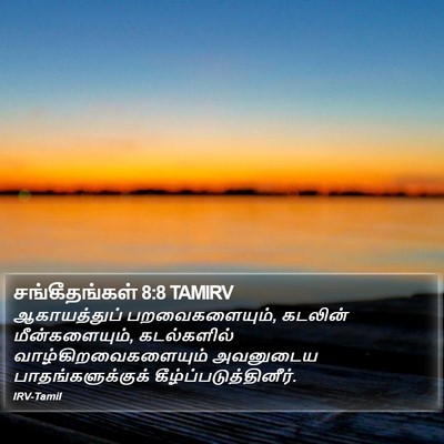சங்கீதங்கள் 8:8 TAMIRV Bible Verse Image
