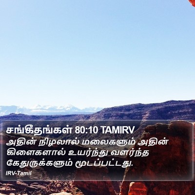 சங்கீதங்கள் 80:10 TAMIRV Bible Verse Image