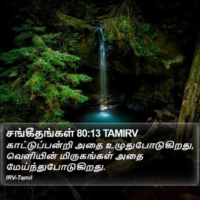 சங்கீதங்கள் 80:13 TAMIRV Bible Verse Image