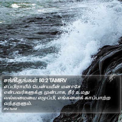 சங்கீதங்கள் 80:2 TAMIRV Bible Verse Image