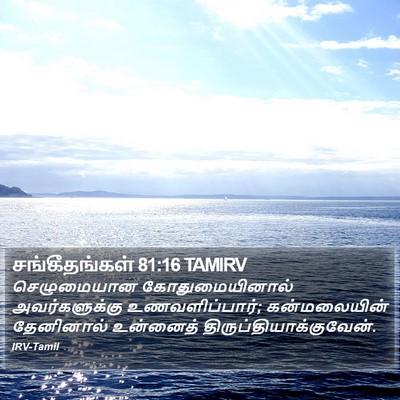 சங்கீதங்கள் 81:16 TAMIRV Bible Verse Image