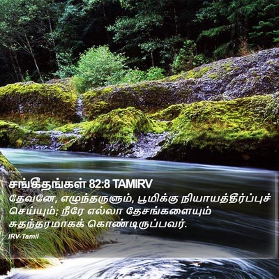 சங்கீதங்கள் 82:8 TAMIRV Bible Verse Image