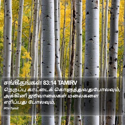சங்கீதங்கள் 83:14 TAMIRV Bible Verse Image