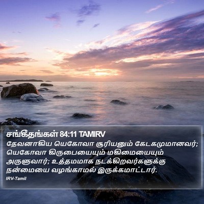 சங்கீதங்கள் 84:11 TAMIRV Bible Verse Image